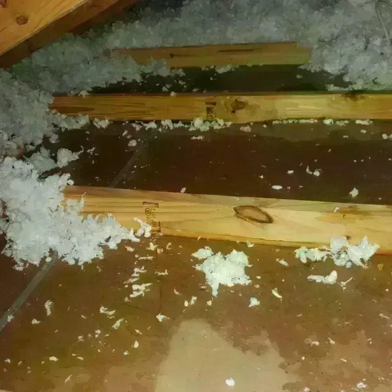 Attic Water Damage in Harrison, AR