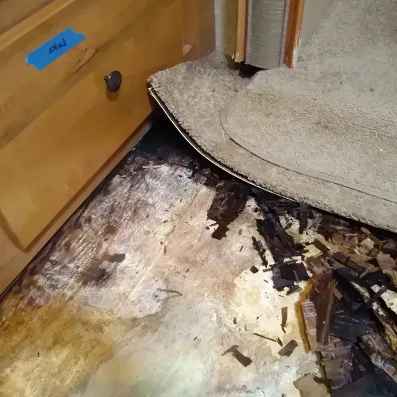 Wood Floor Water Damage in Harrison, AR